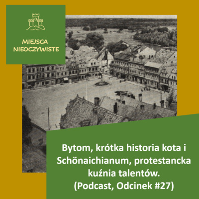 Bytom Odrzański i historia kota